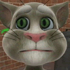 Talking Tom Cat